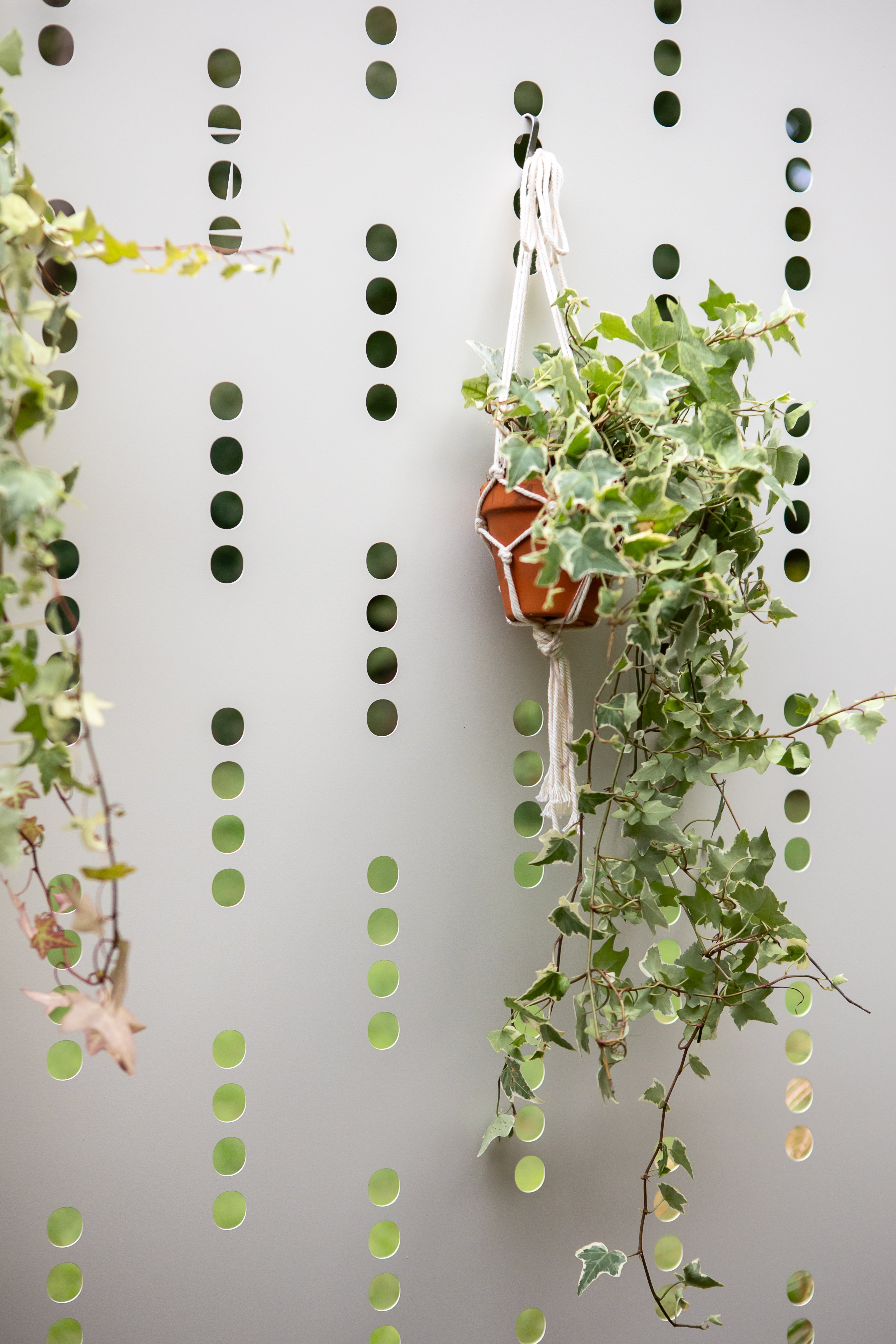 Scenario Outdoor SKJÓLVEGGIR