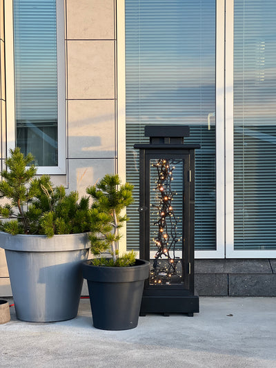 LJÓSÁLFURINN - EIK