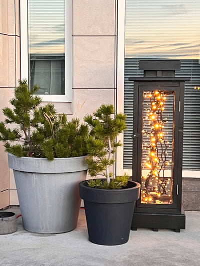 LJÓSÁLFURINN - EIK